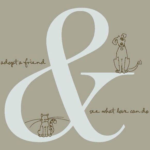 See What Love Can Do NEW Unisex LARGE Hoodie by Comfort Colors - Picture 2 of 9